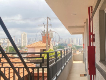 Apartamento - Aluguel - Vila Matilde - São Paulo - SP